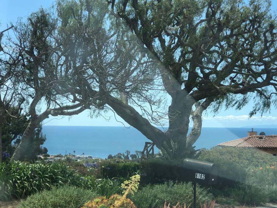 30 Pct Off!! Limited Time! Malibu Charming Getaway With King Bed, Near Beach Eksteriør billede