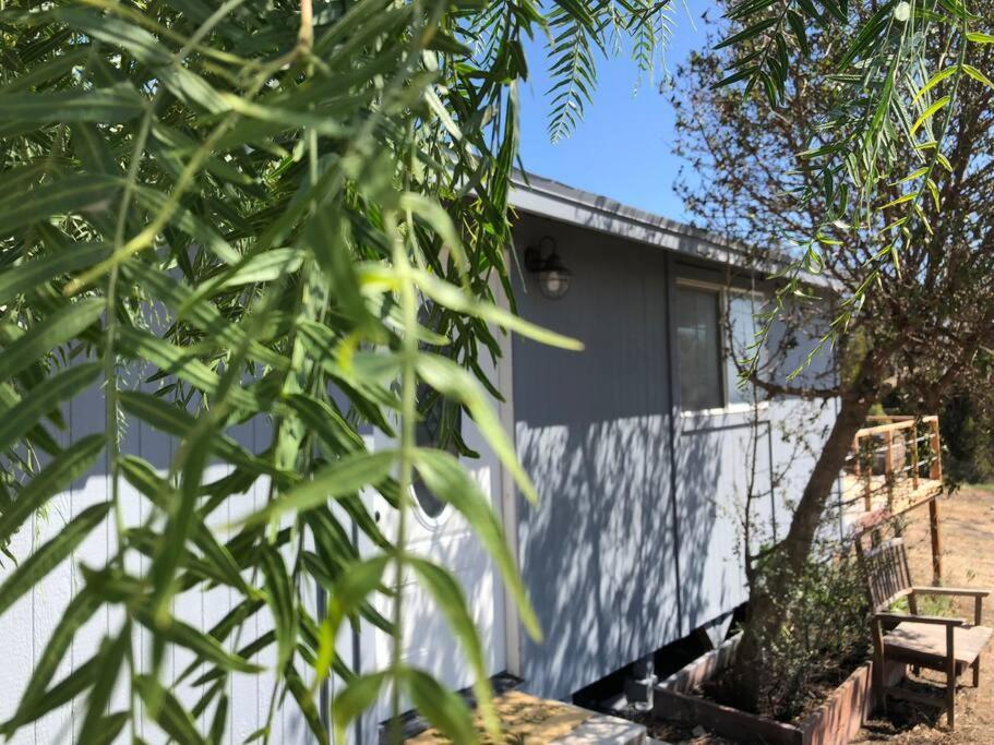 30 Pct Off!! Limited Time! Malibu Charming Getaway With King Bed, Near Beach Eksteriør billede